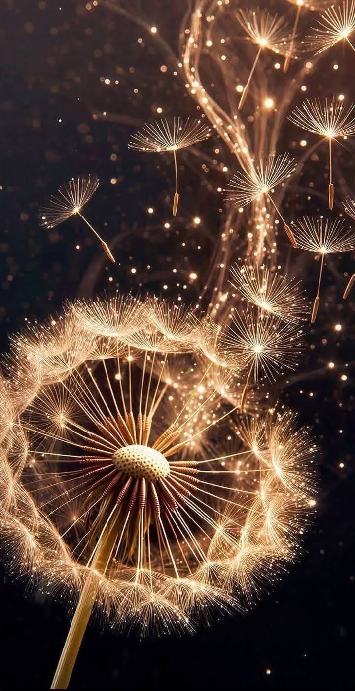 Luminous golden dandelion with sparkling seeds